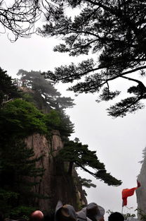 后山——始信峰与黑虎松（夜半钟声）
