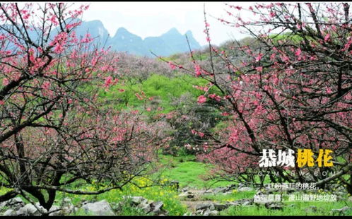 一、春意盎然一场说走就走的旅行
