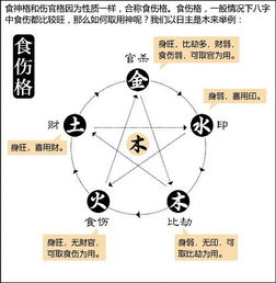 天星风水布局法,天星风水子宫详解