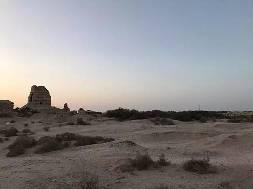 探寻历史持续发展的足迹