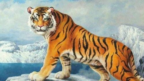 属虎男在2026年农历九月财运如何？