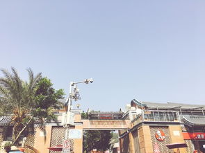 胡志明市的温州村比五马街还热闹