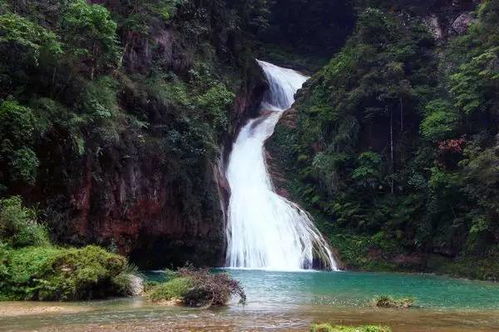 优惠活动：文字游戏的巅峰对决