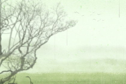 谷雨习俗大乱炖