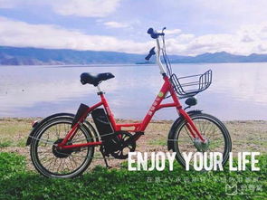 电瓶车环湖的“甜蜜陷阱”：电量、  路况与那些没人告诉你的事