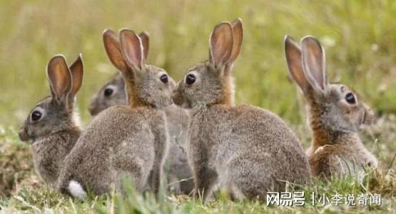 第一节：形煞与气煞的双重绞杀