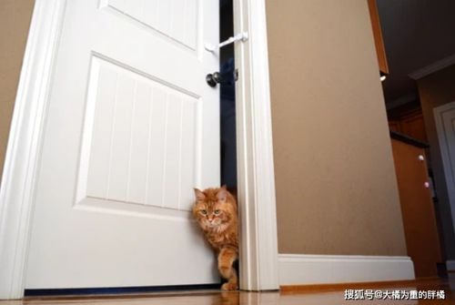 门外悬挂：那是给外界的“警告牌”，霸气侧漏！