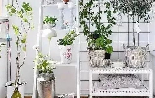 家里的小花园怎么设计好kan,家里的小花园怎么设计好kan