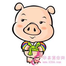 震惊！1995年猪猪人命运大揭秘！不看后悔一辈子！