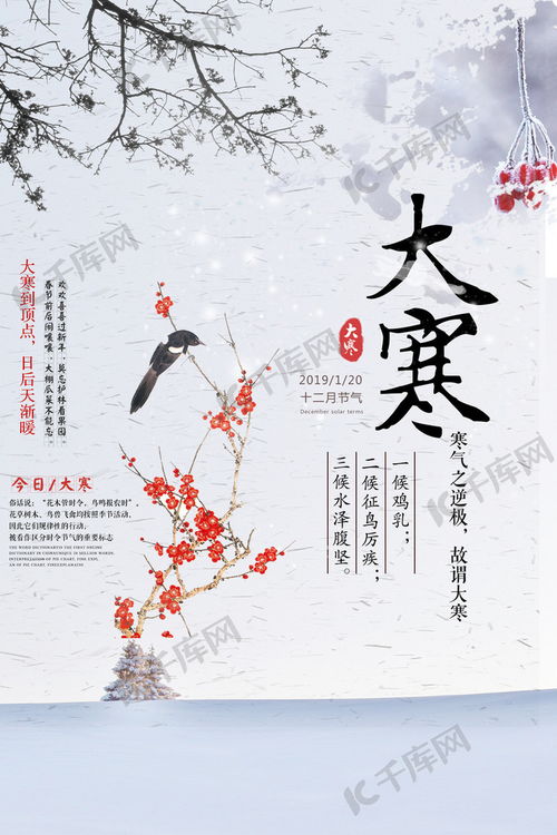 “古韵今风，节气习俗大揭秘！”