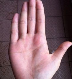 手相中预示离婚的特征