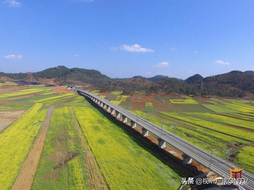 真是何苦呢 ?花那钱不如给村里修条路 装几盏路灯不好吗 ?