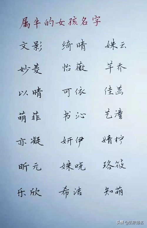 起名原则？随便看看吧