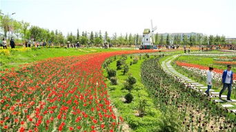 五一泾河园门票XX元，亲子现代农业体验真的值得吗？