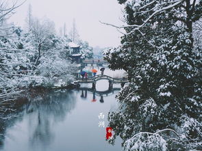 雪中漫步，苏杭的独特韵味