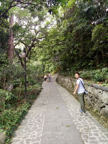 五一去惠州罗浮山， 先吃再玩——乱七八糟版美食指南