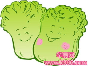 梦见白菜预示着什么吉凶？是好运还是不幸的征兆？