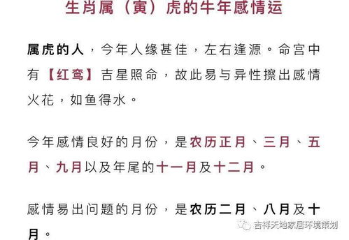 宋韶光2026年属相运势每月详细运程具体内容是什么？