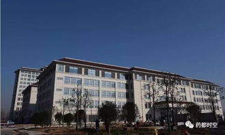 港沟镇的时候密码：本地人怎么把“24细小时”过成“3天2夜”，以及我差点被卷入的一场象棋赌局