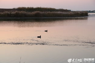 一、乱七八糟的湖光山色——真实的有那么“如画”吗？
