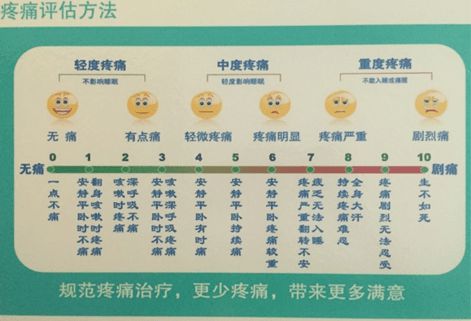 那些让人脑壳疼的数字分类