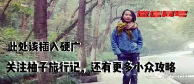 四、 奇怪的小插曲：乱入段子与广告语