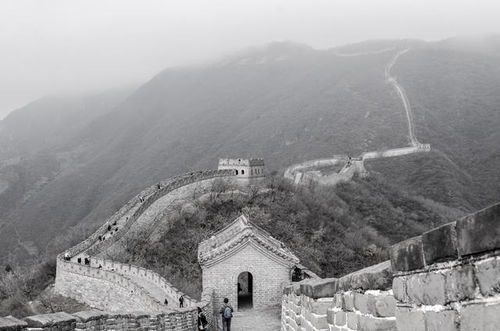 一、 候选城区较大比拼：谁是最佳选择？