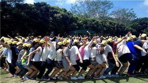 2026年黄历预警：去陵园旅游的良辰吉日