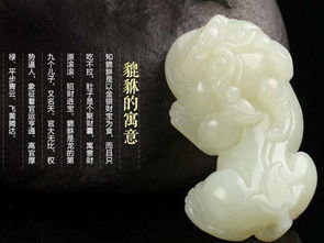 貔貅的正确玩法