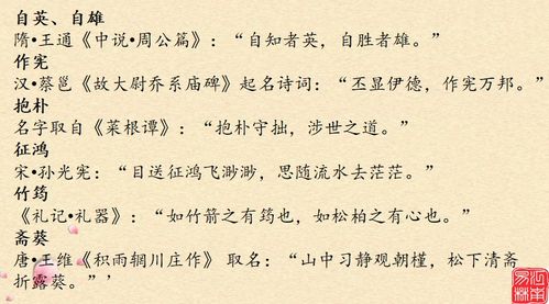 一、文化底蕴：从古至今的典藏