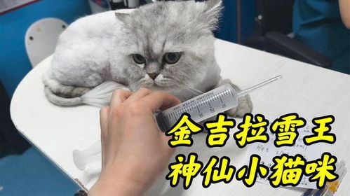 2.1 从古诗词中偷灵感（但别被发觉！）