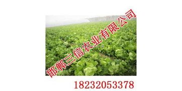 五、 给种植園老板 的３ 条