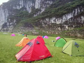 茶香四溢的桑洲茶文化底蕴露营基地