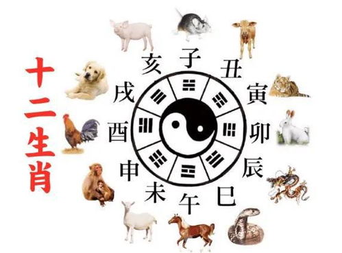 属相月份出生的人，这个月运势如何？
