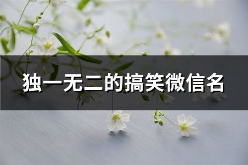 前言：为啥要给自己起个“笑掉大牙”的微信名？