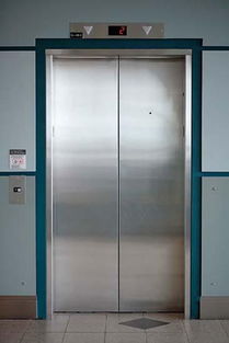 植物的摆放位置也是有讲究的