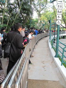 不可错过——怀陈旧式咖啡馆与街头涂鸦
