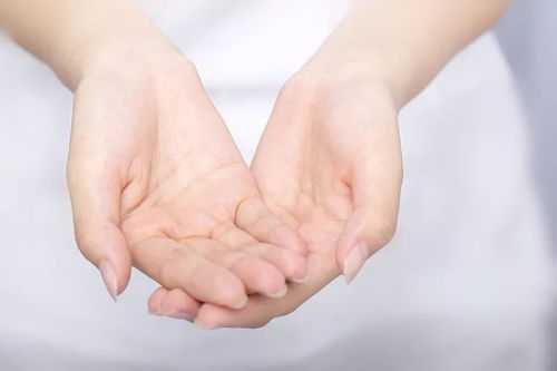 1. 手心的五行与事业运