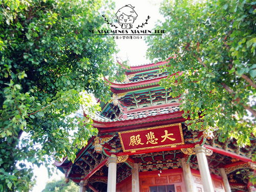 南普陀寺：一个宁静的地方