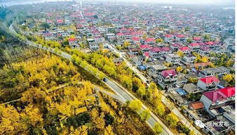 迷路才是正经事