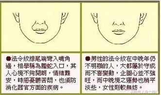 逆龄生长的秘密藏在法令纹里