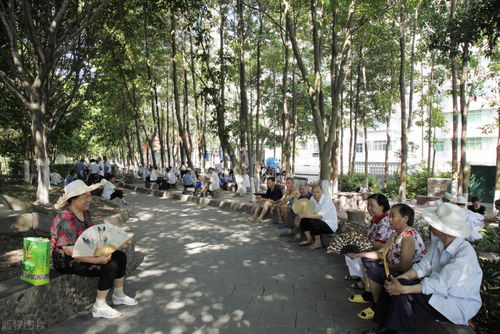 一、 夏至这天我感觉自己要融化了