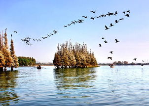 1. 为什么说是世纪难题？主要原因是带娃太累了啊喂！