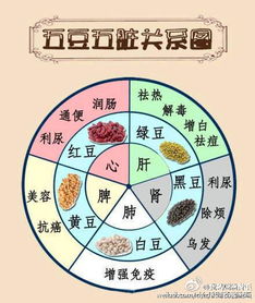 玄学养生套餐大揭秘