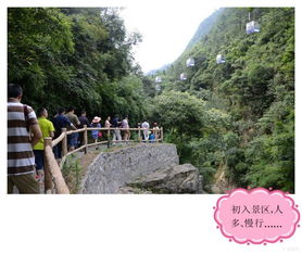 重庆黑山谷自驾游：一场充满惊喜与惊吓的奇幻之旅