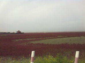 怎么去才不会把腿跑断？