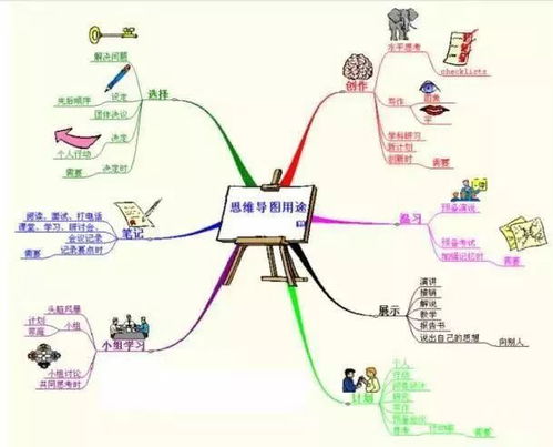 2026年最新预测！你的脸型决定你发不发财！