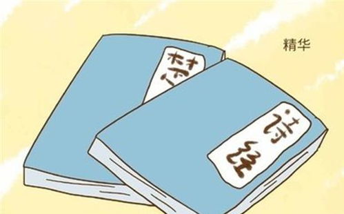 《论语》里的名字：儒家文化下的沉稳与智慧