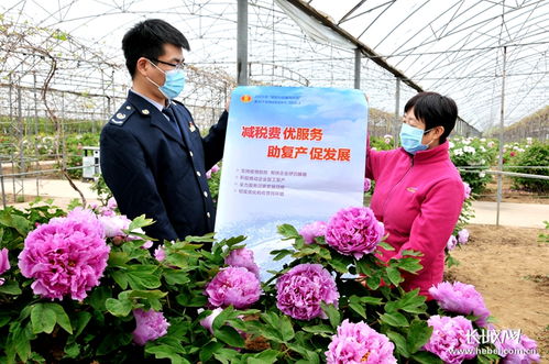 村民赚翻游客哭惨！2026年花期天气预报