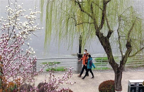 惯与路程的问题（彳艮重要！）